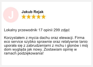 Mycie dachów opinie